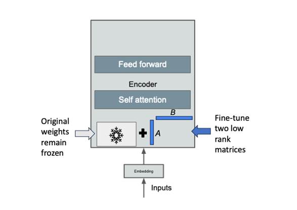 Fine-tuning in Deep Learning. How fine-tuning is used and why