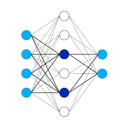 Dense Neural architecture with bold lines showing which neurons are selected