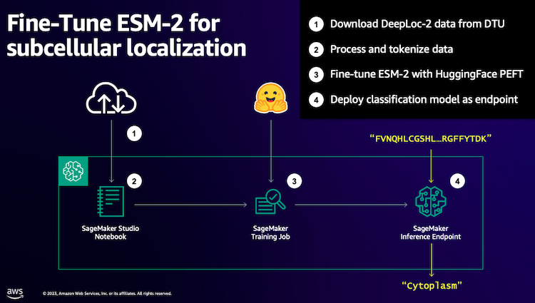 Aws machine best sale learning classification