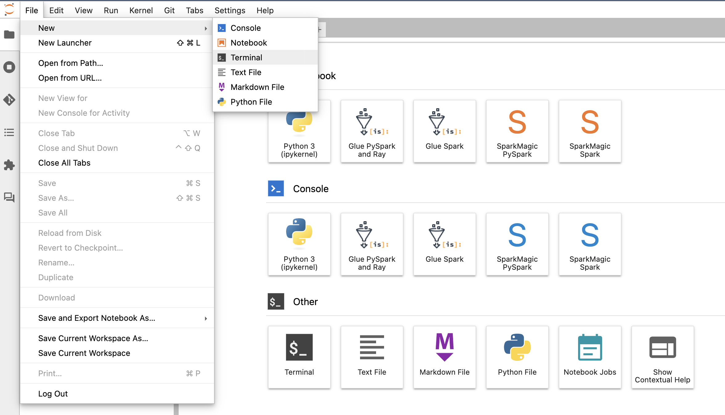 Run Python files in SageMaker Studio spaces using Local Mode