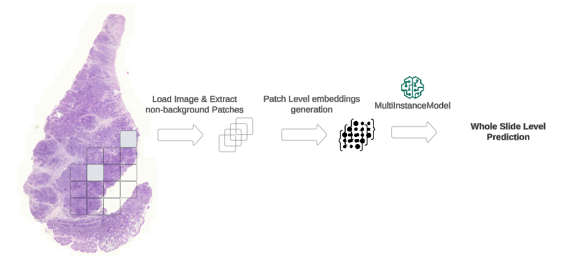 The following diagram illustrates the workflow for WSI-level prediction tasks using MIL