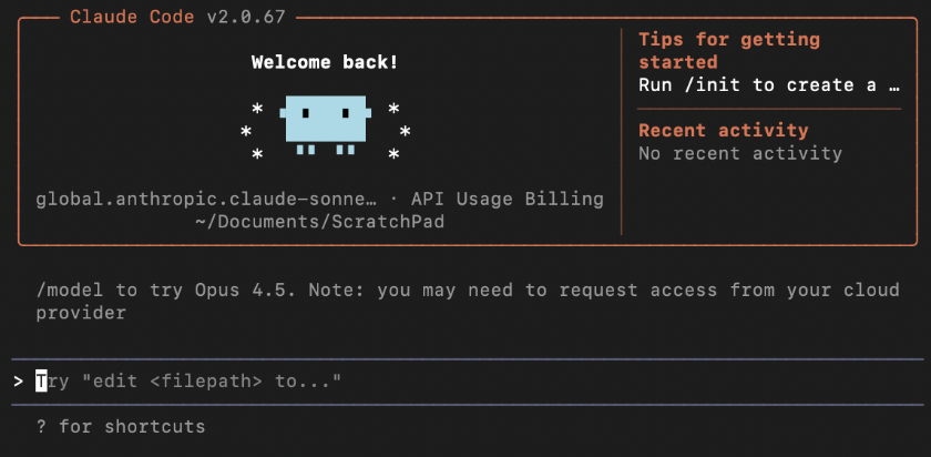 Welcome screen for Claude Code v2.0.67 development environment featuring a dark theme with orange accent colors. The interface displays a "Welcome back!" greeting with an ASCII art blue robot mascot, a "Tips for getting started" section recommending the /init command, a "Recent activity" panel showing no recent activity, and a command line area at the bottom with information about the Opus 4.5 model and available shortcuts.