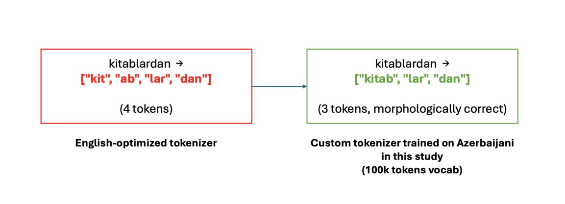 Side-by-side comparison of an English-optimized tokenizer producing 4 incorrect tokens versus a custom Azerbaijani tokenizer producing 3 morphologically correct tokens for the word "kitablardan."