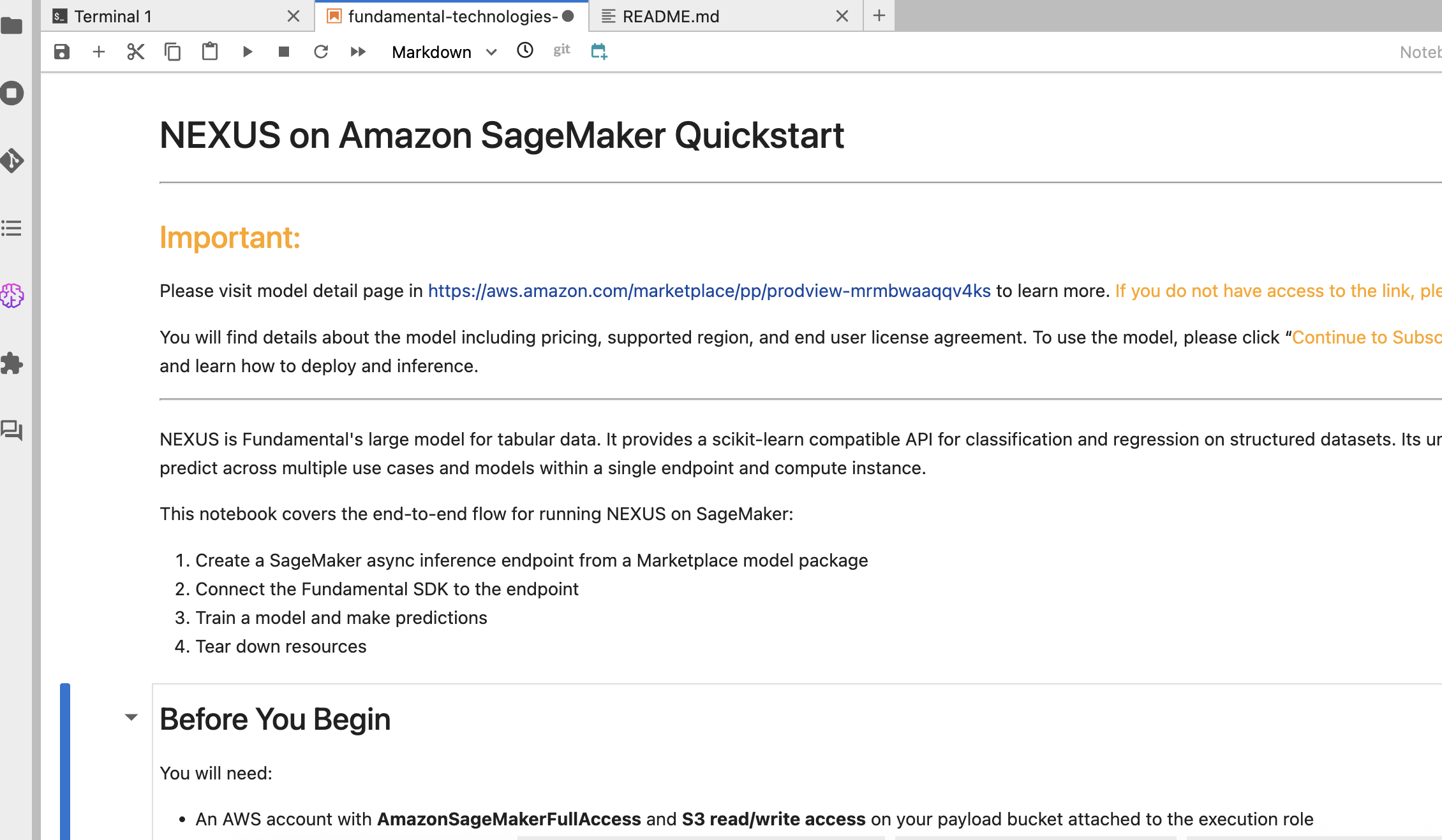 Amazon SageMaker JumpStart model details page for Fundamental NEXUS, showing model description and deployment options.