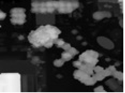 Digital Surface Model visualization