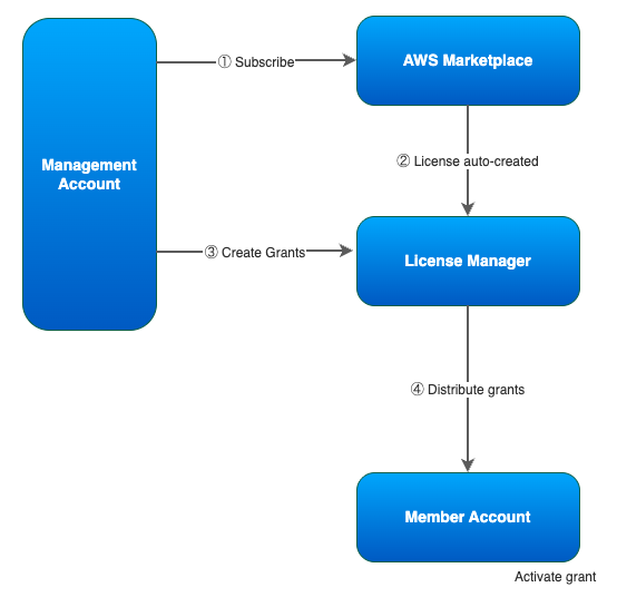 Managed entitlements workflow showing four steps: subscribe, verify license, create grants, and activate