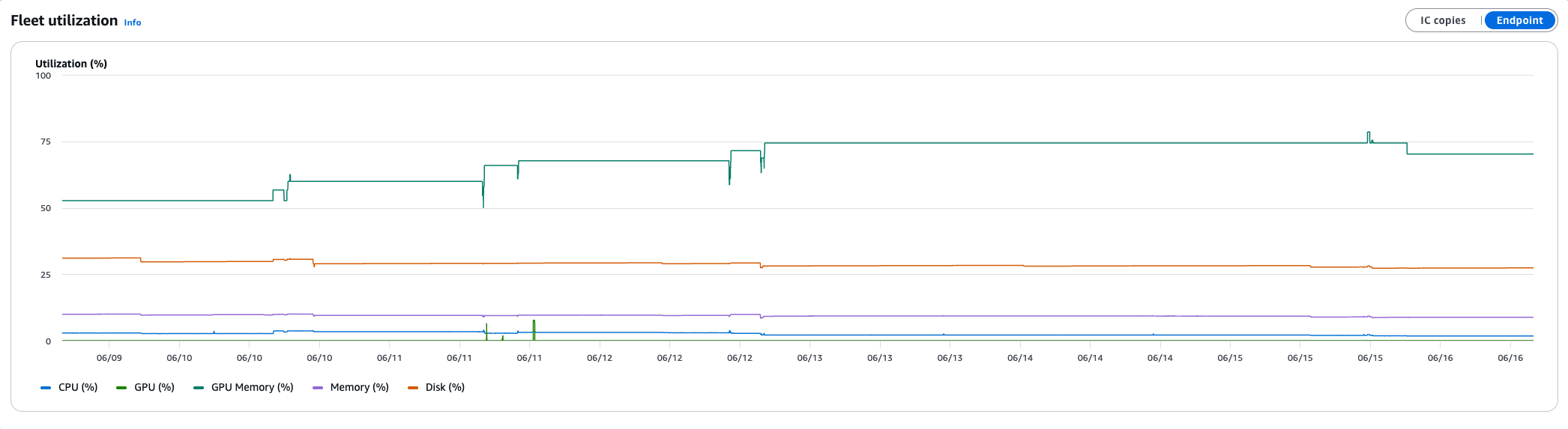 Fleet utilization time series showing GPU, GPU memory, CPU, memory, and disk consumption with Instance, IC copies, and Endpoint toggles