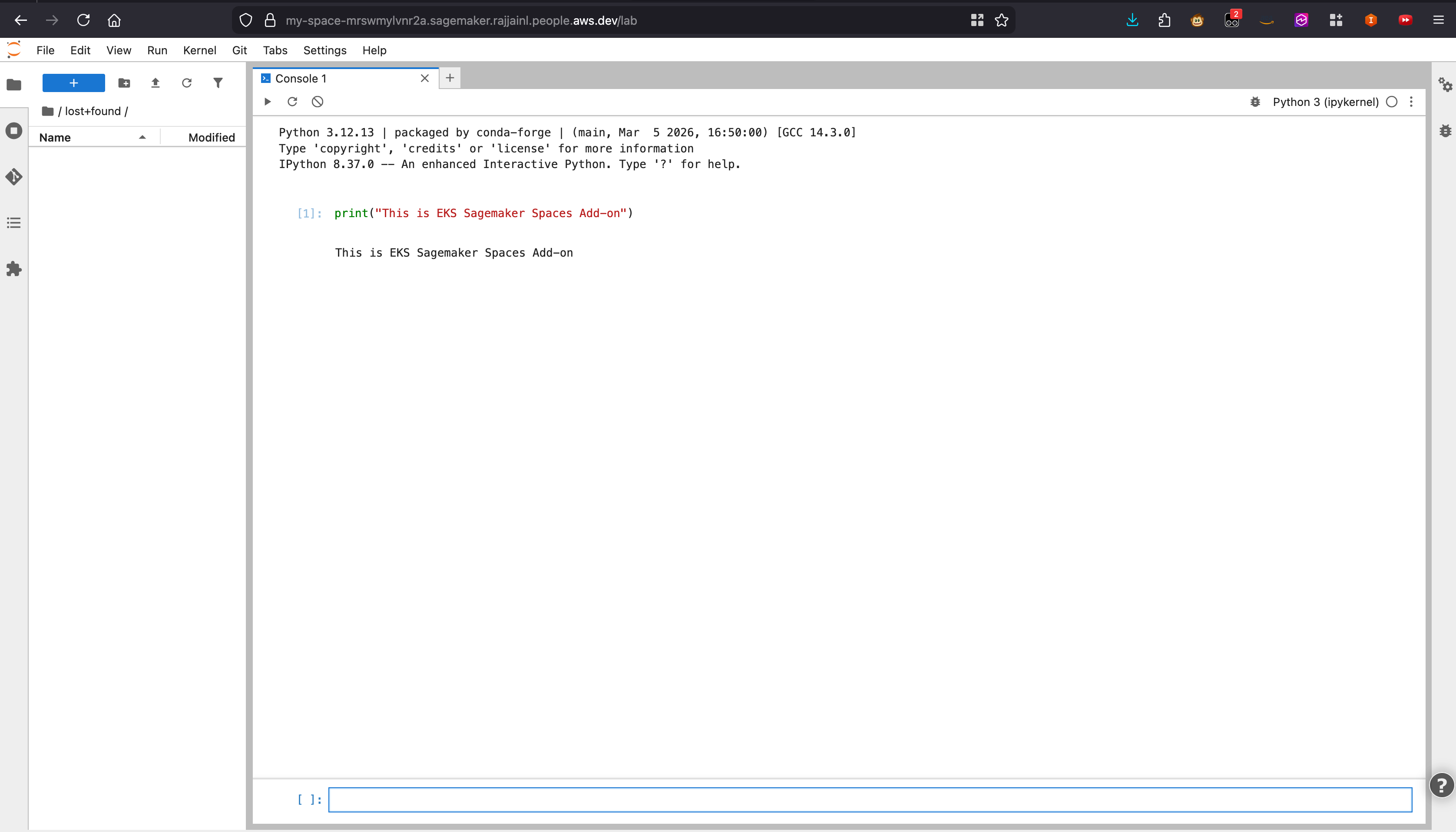 JupyterLab running in the browser at the custom Spaces domain
