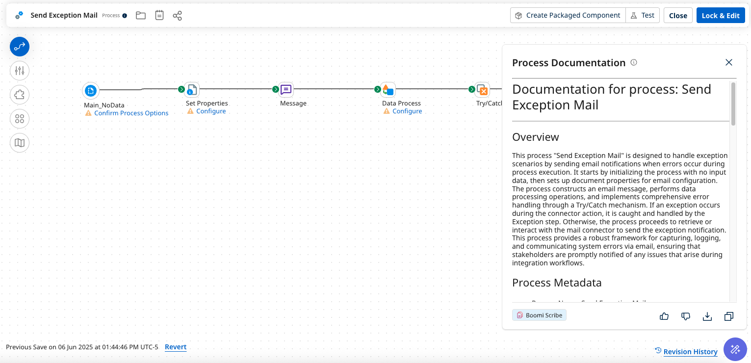 Boomi Process Canvas showing Scribe documentation panel with download and copy options for generated documentation