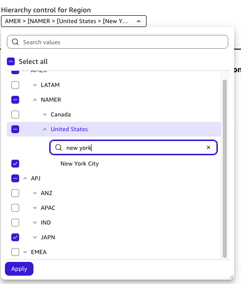 Amazon Quick Sight hierarchy control with Japan selected under APJ and New York City selected under United States, showing mix-and-match selection across levels