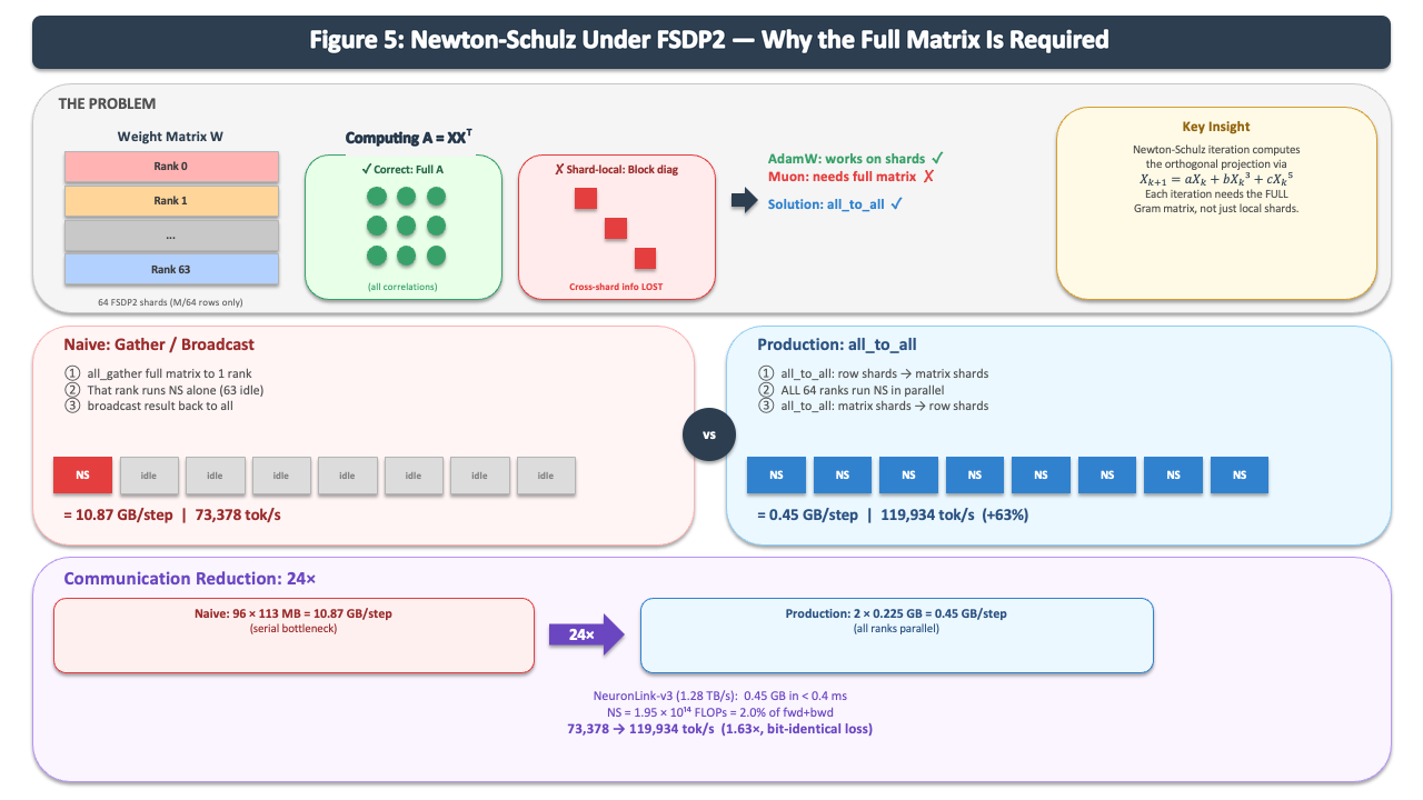 Newton-Schulz communication patterns under FSDP2