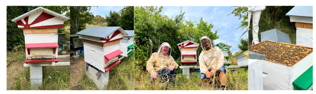 David Gerber’s IoT enabled beehives (Neuchatel, Switzerland)