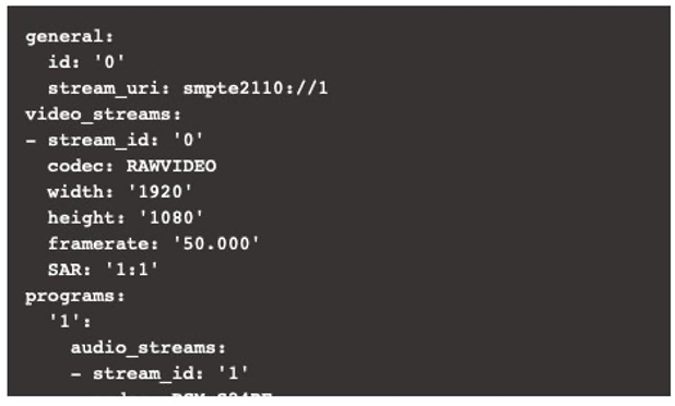 MediaInfo showing the 2110 Input