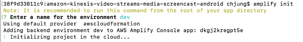 amplify CLI example