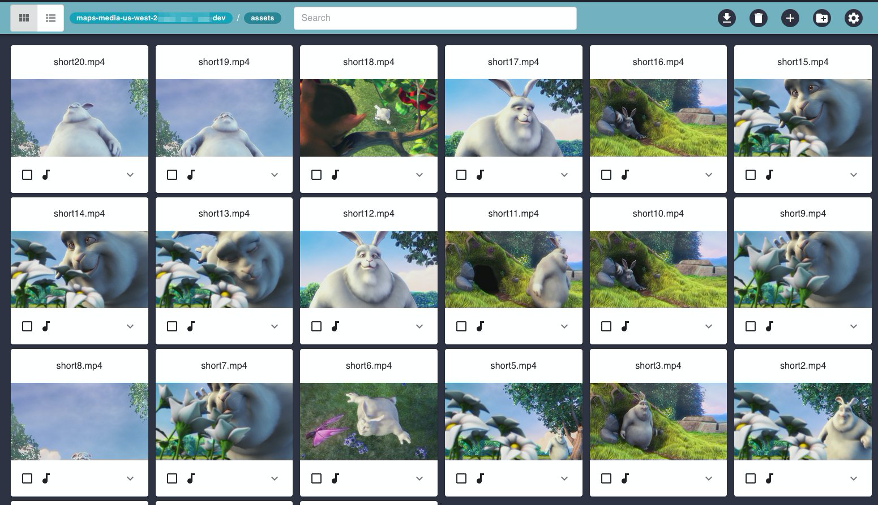 This is the MAPS card layout. This shows media assets with a thumbnail preview.