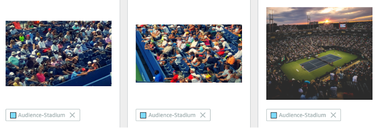 Examples of training dataset in Audience-Stadium class