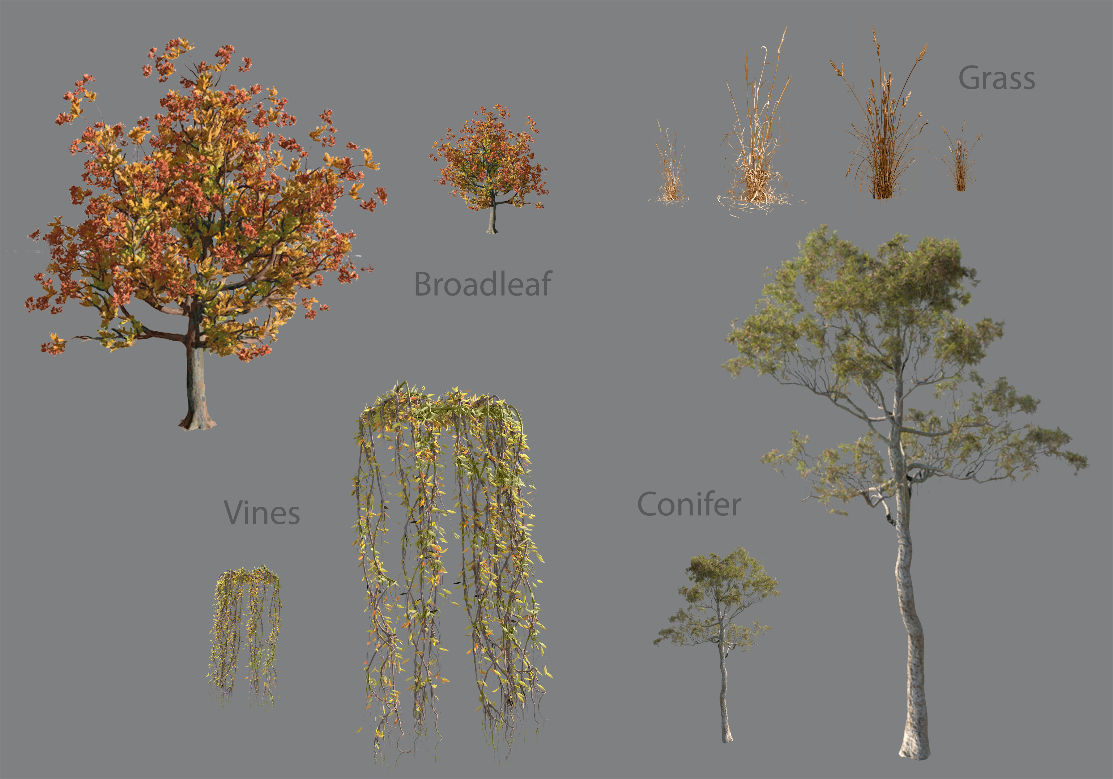 Renders of foliage types 