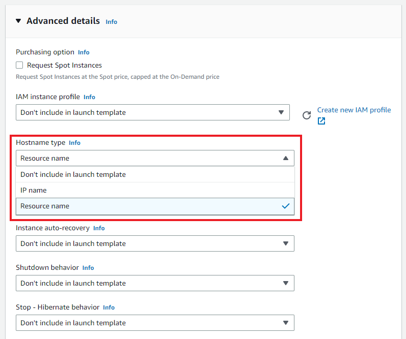 A screenshot of the Launch Template editor's Advanced details section, which shows the Hostname type set to 'Resource name'