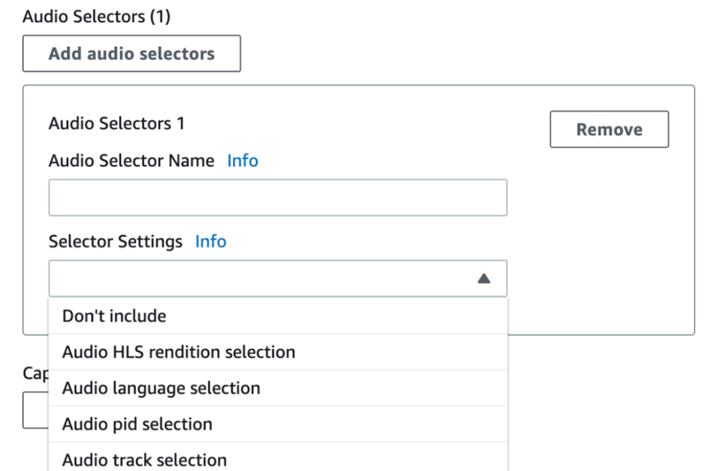 This shows the input section where you can find the audio details fields including Audio Selector, Audio Selector Name and Selector Settings. 