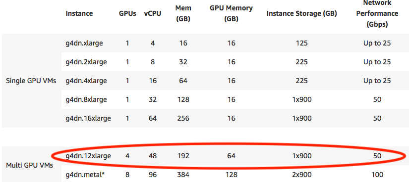 Figure 3. g4dn features