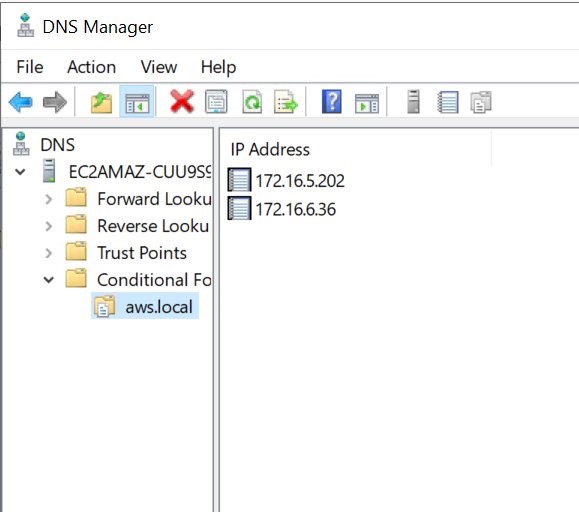 DNS Manager with Conditional Forwarders for aws.local domain