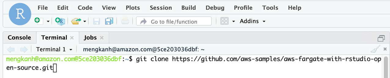 Figure 2. Use the terminal to clone the repository in RStudio IDE.