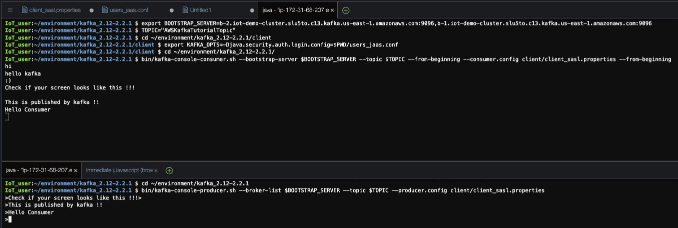 Now that you have a Kafka consumer and producer opened side-by-side, you can type in producer terminal and verify it from the consumer terminal.