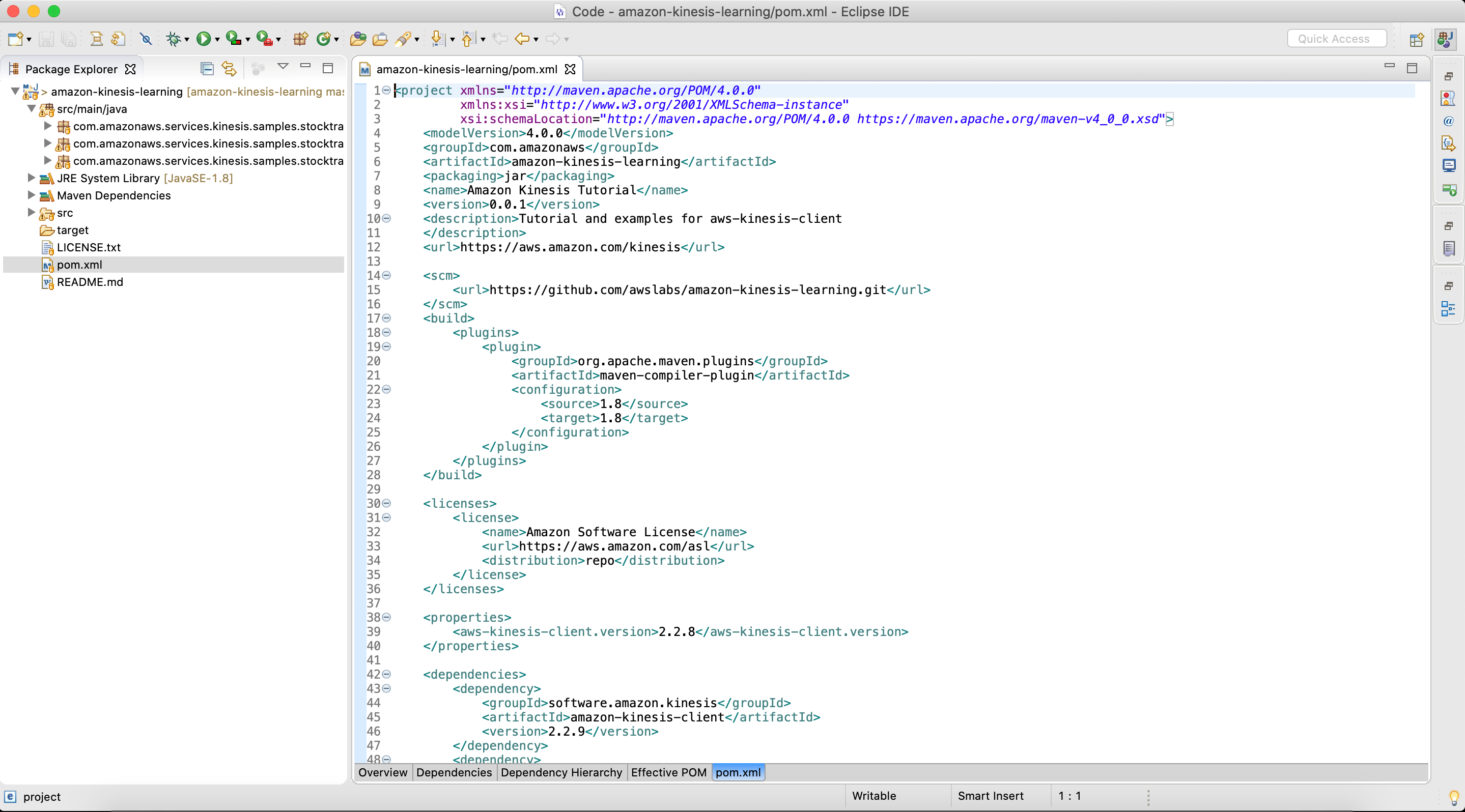 Figure 4. Final view of pom.xl file after setup is complete