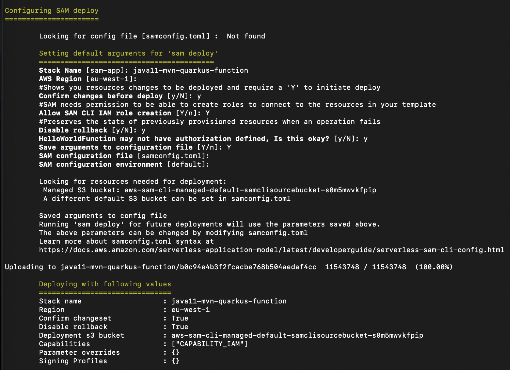 AWS SAM input fields to configure the deployment options in our sample.