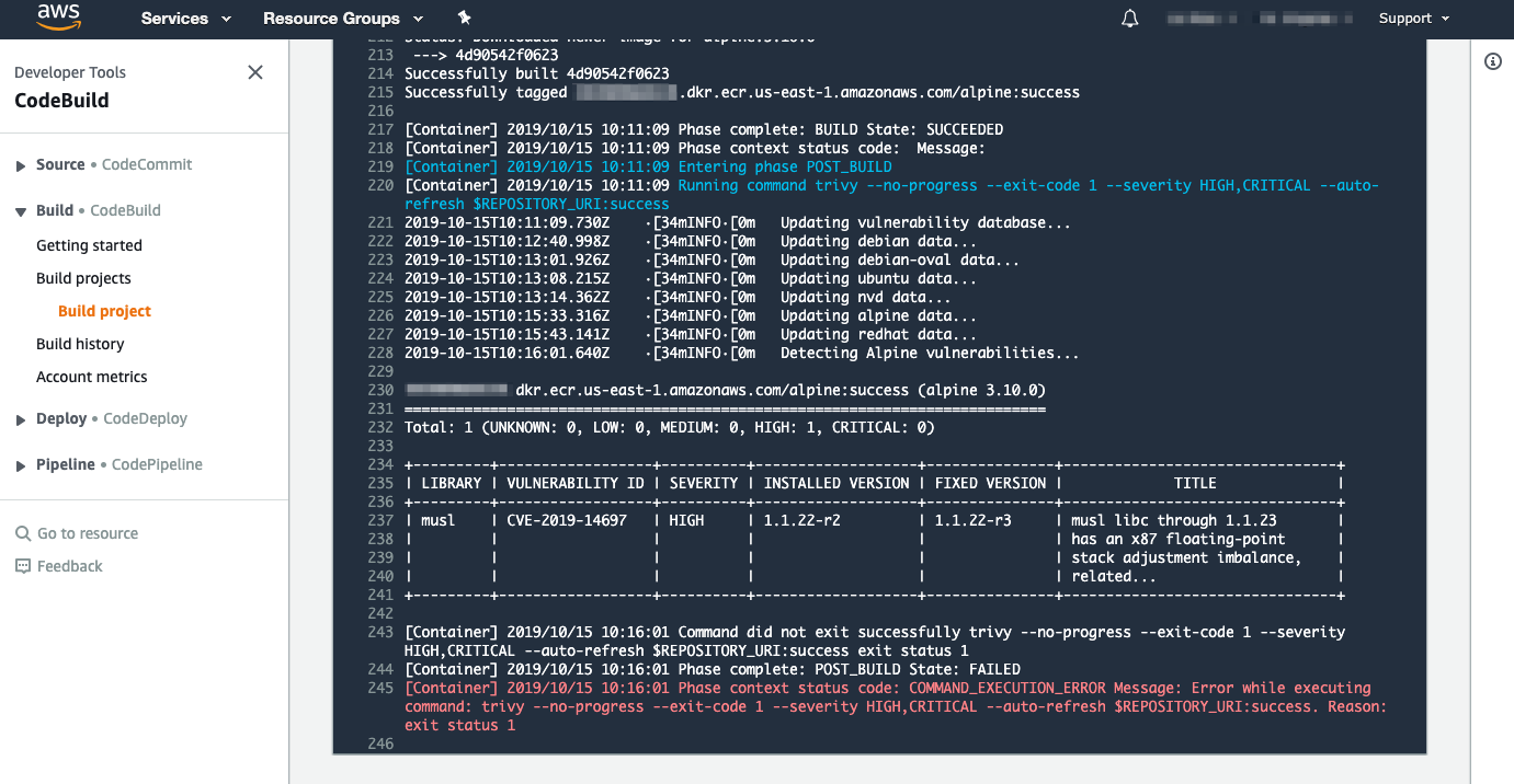 Successfully Tackling Shellshock Vulnerability