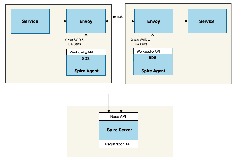 diagram of mTLS authentication using SPIRE