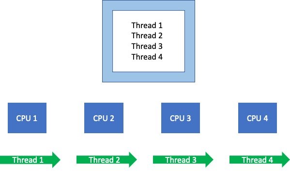 how does a cpu function