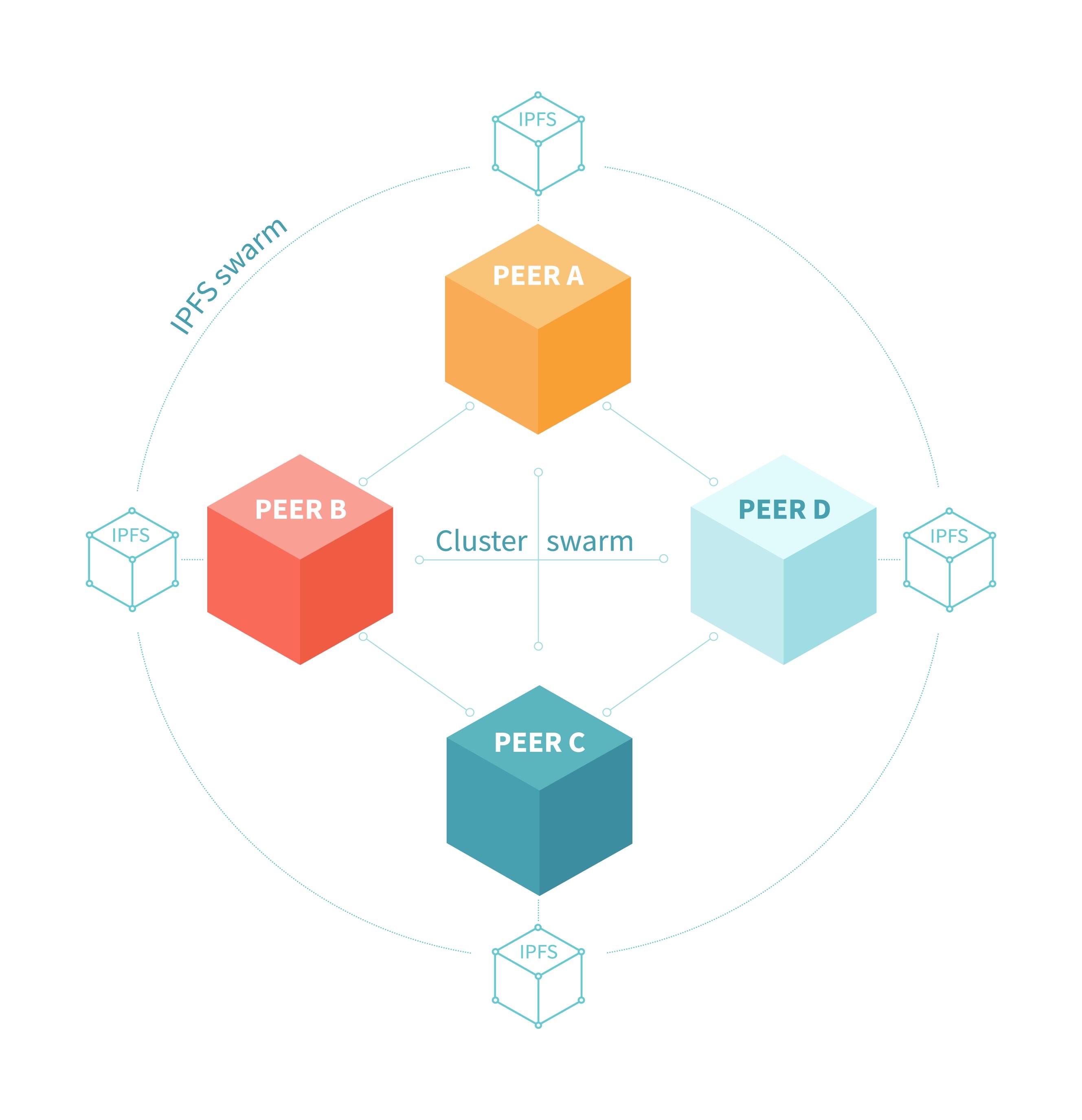 Logo / architecture diagram of Peers a-D of an IPFS swarm