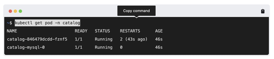 A picture of a workshop CLI instruction, showing the "Copy Command" feature.