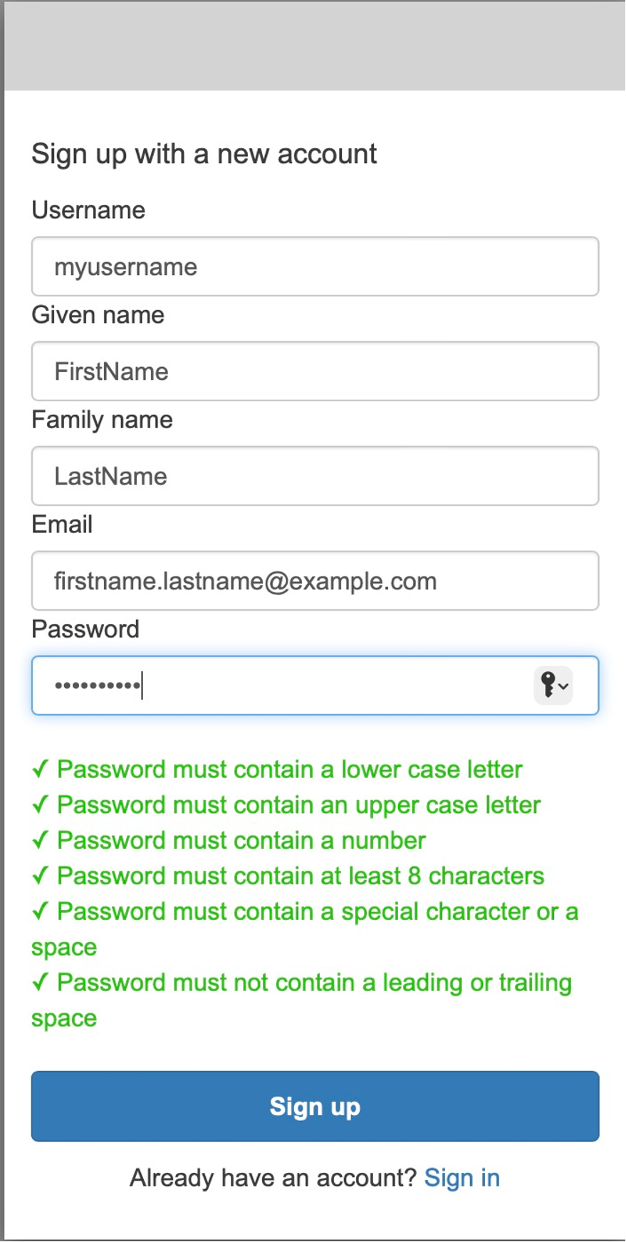 Screenshot of sign-in page