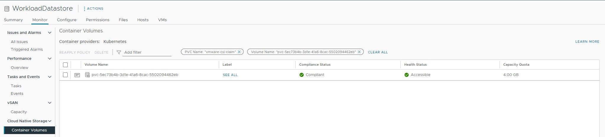 Figure 2: vCenter storage UI showing the test workload's volume